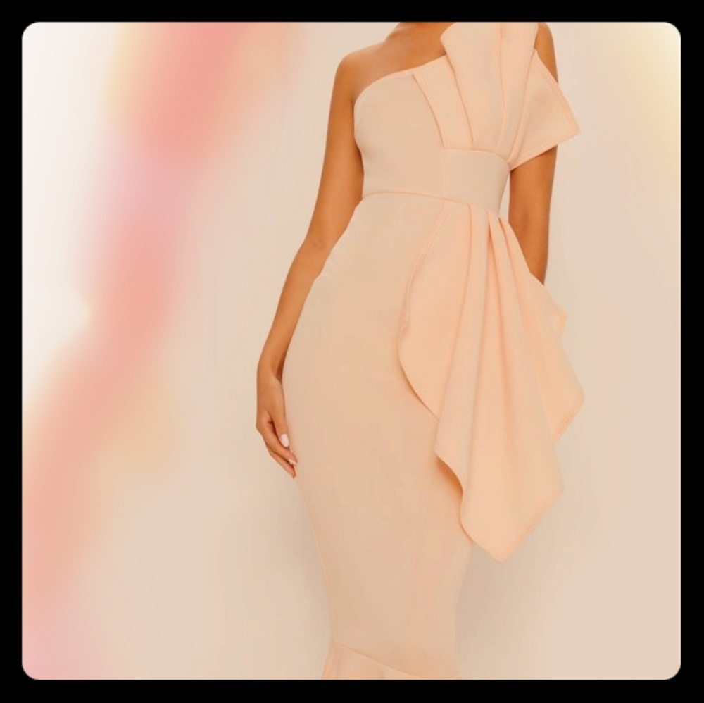Brand new, never worn PLT formal dress